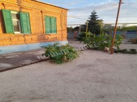 Глафировка - недвижимость