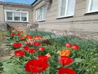 Старощербиновская - недвижимость